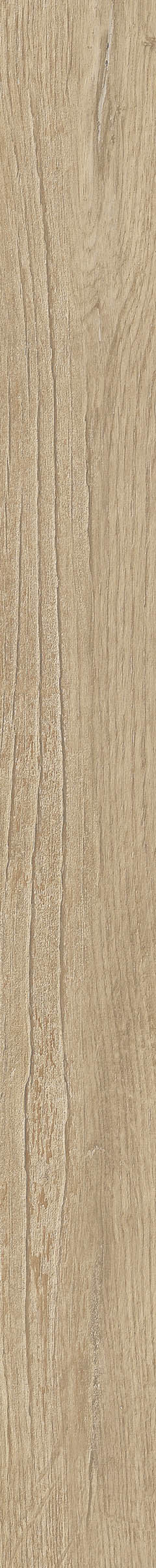 Imola Elixir Beige Scuro glatt matt natur 183341 5x49cm rektifiziert 6,5mm - ELXR6 549BS RM