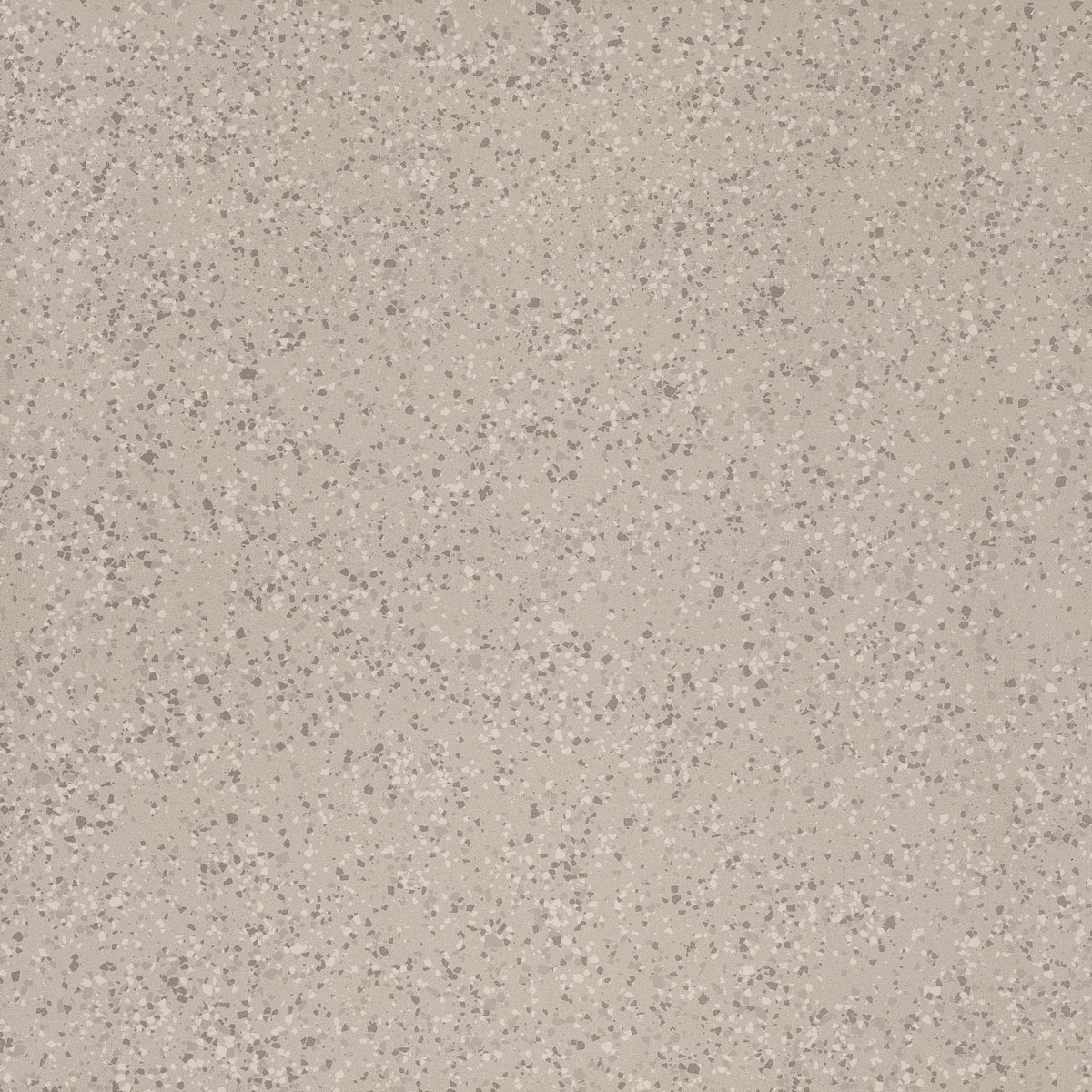 Imola Parade Argento Natural Flat Matt 166070 120x120cm rectified 10,5mm - PRDE 120AG RM