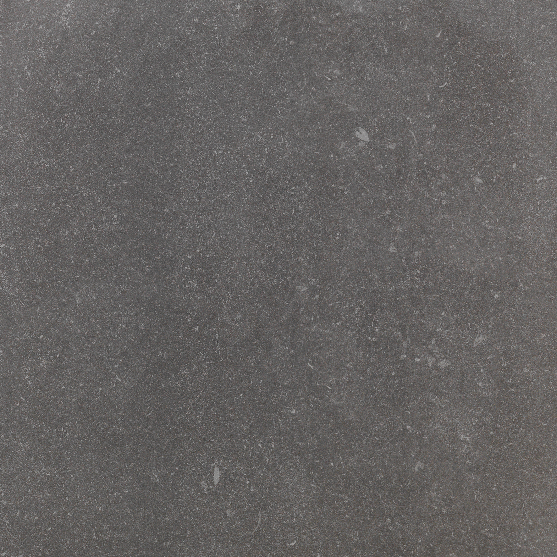 Bodenfliese Sintesi Geo Bleue Nero Naturale Nero PF00016316 natur 60x60cm rektifiziert 10mm