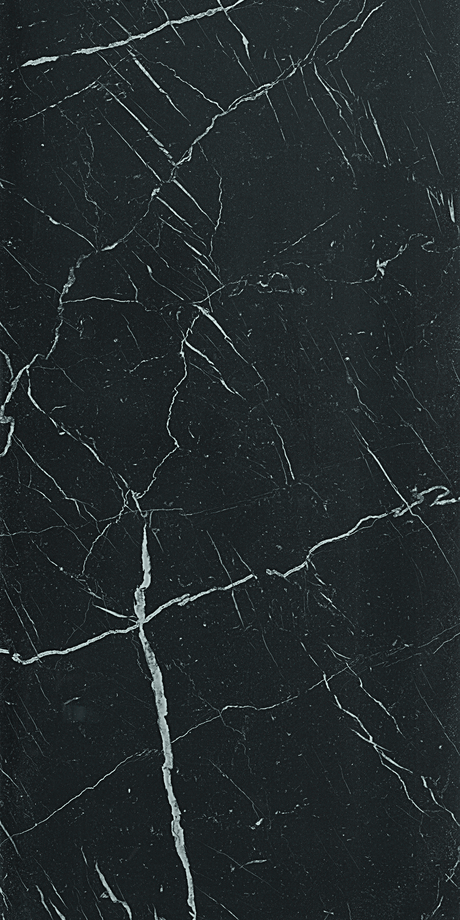 Bodenfliese Serenissima Magistra Marquina Lux Marquina 1063367 glaenzend 60x120cm rektifiziert 9,5mm