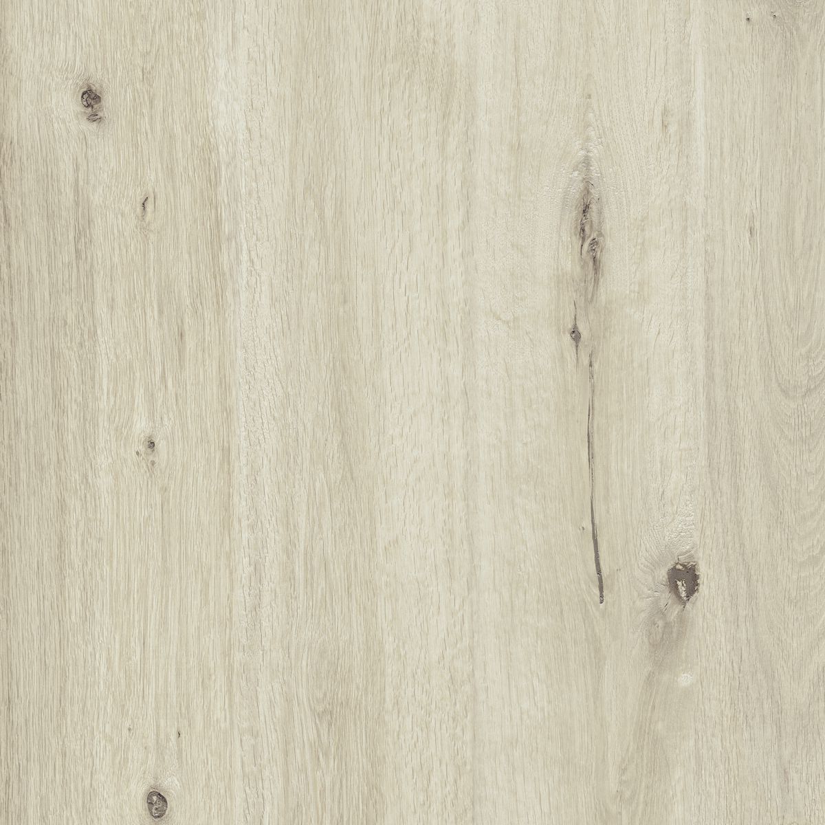 Ragno Woodtale Xt20 Betulla Strutturato Betulla R4XF strukturiert 60x60cm rektifiziert 20mm