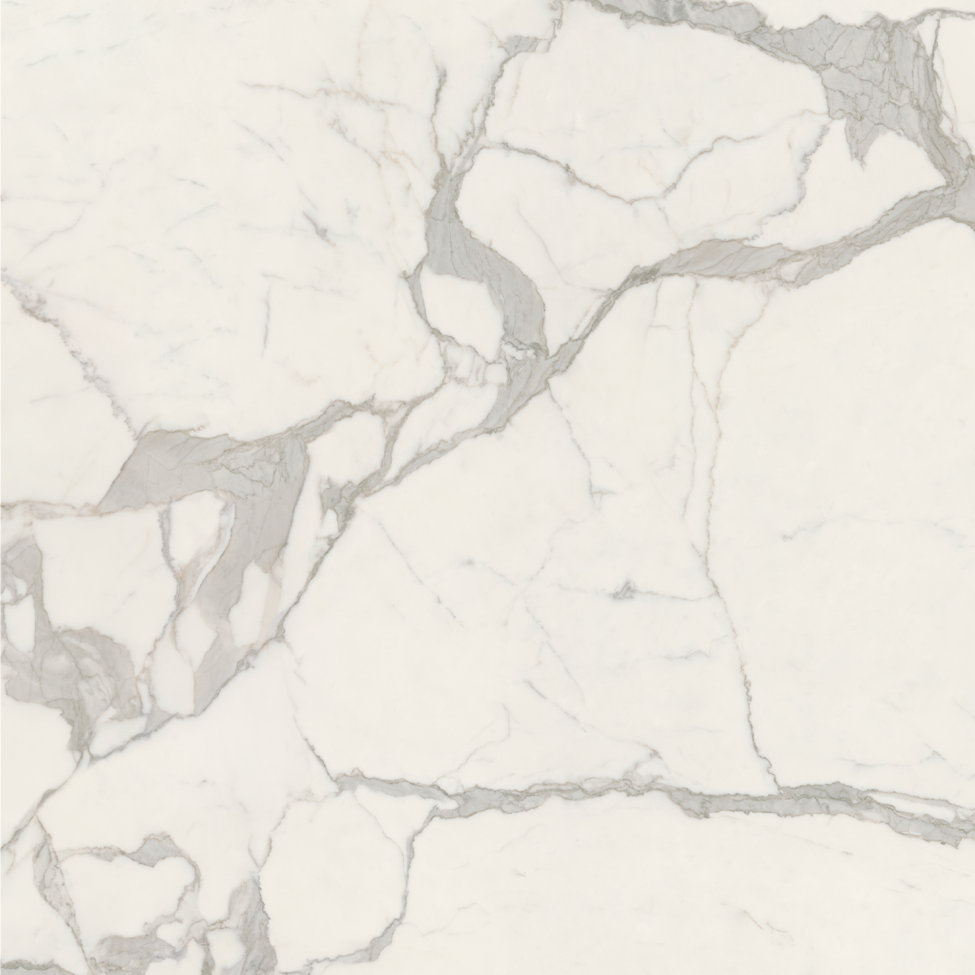 Caesar Anima Futura Majestic White Satinato Lucidato AGCD 120x120cm rectified 9mm