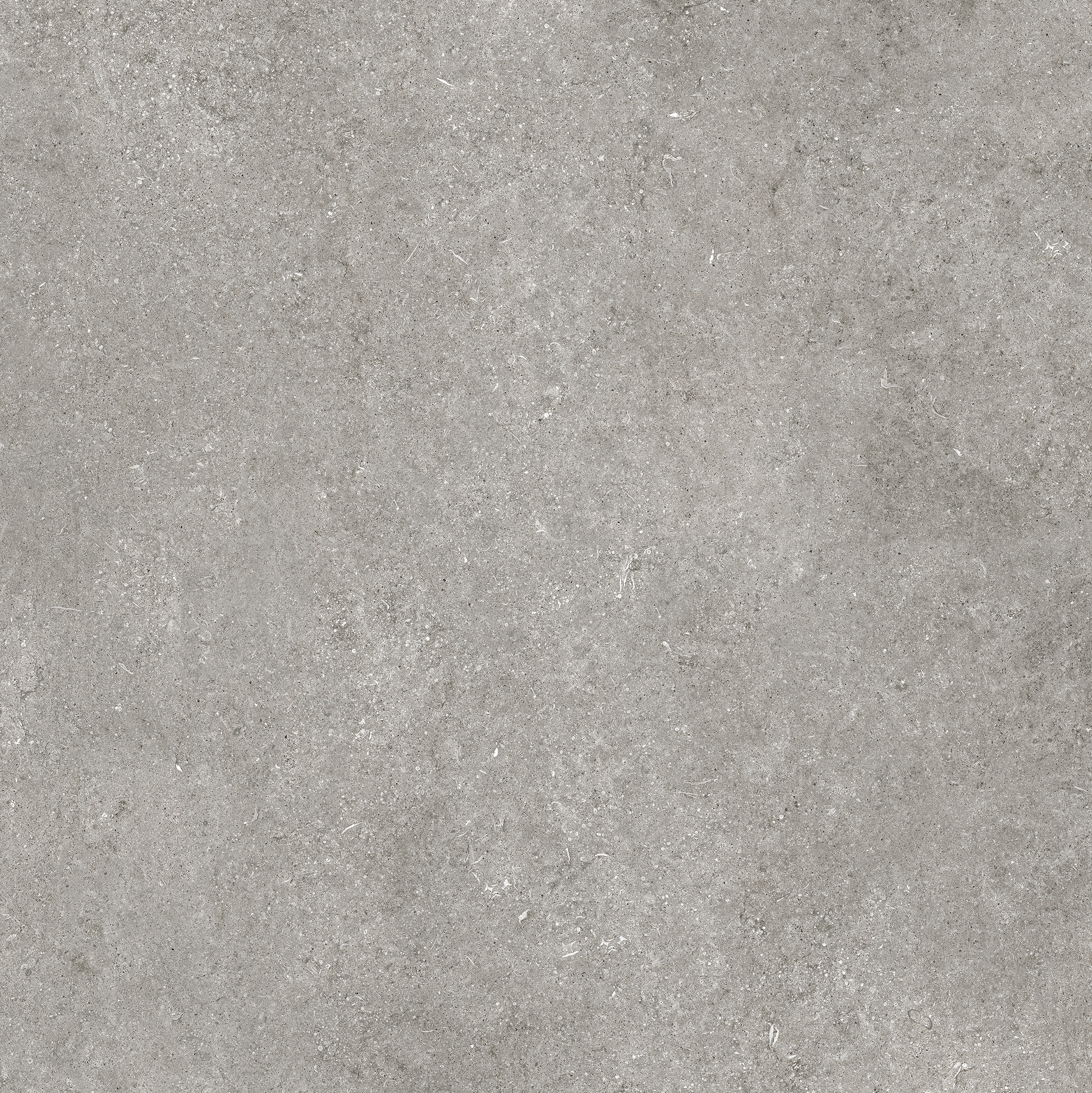 Bodenfliese,Wandfliese Florim Sensi By Thun Grey Fossil Matt – Naturale Grey Fossil 768556 matt natur 120x120cm rektifiziert 6mm