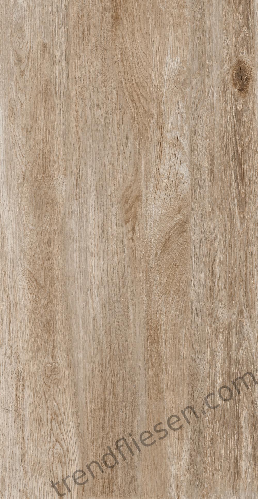 Outdoor Wood Foresta Chiaro 203 natur 40x80cm rektifiziert 20mm