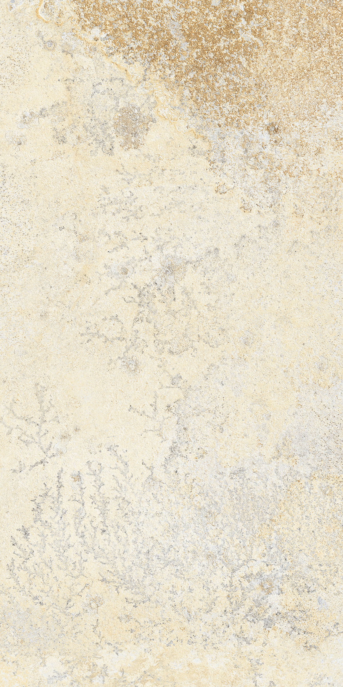 La Fabbrica Royal Stone Gold Naturale 122010 naturale 30x60cm rectified 8,8mm