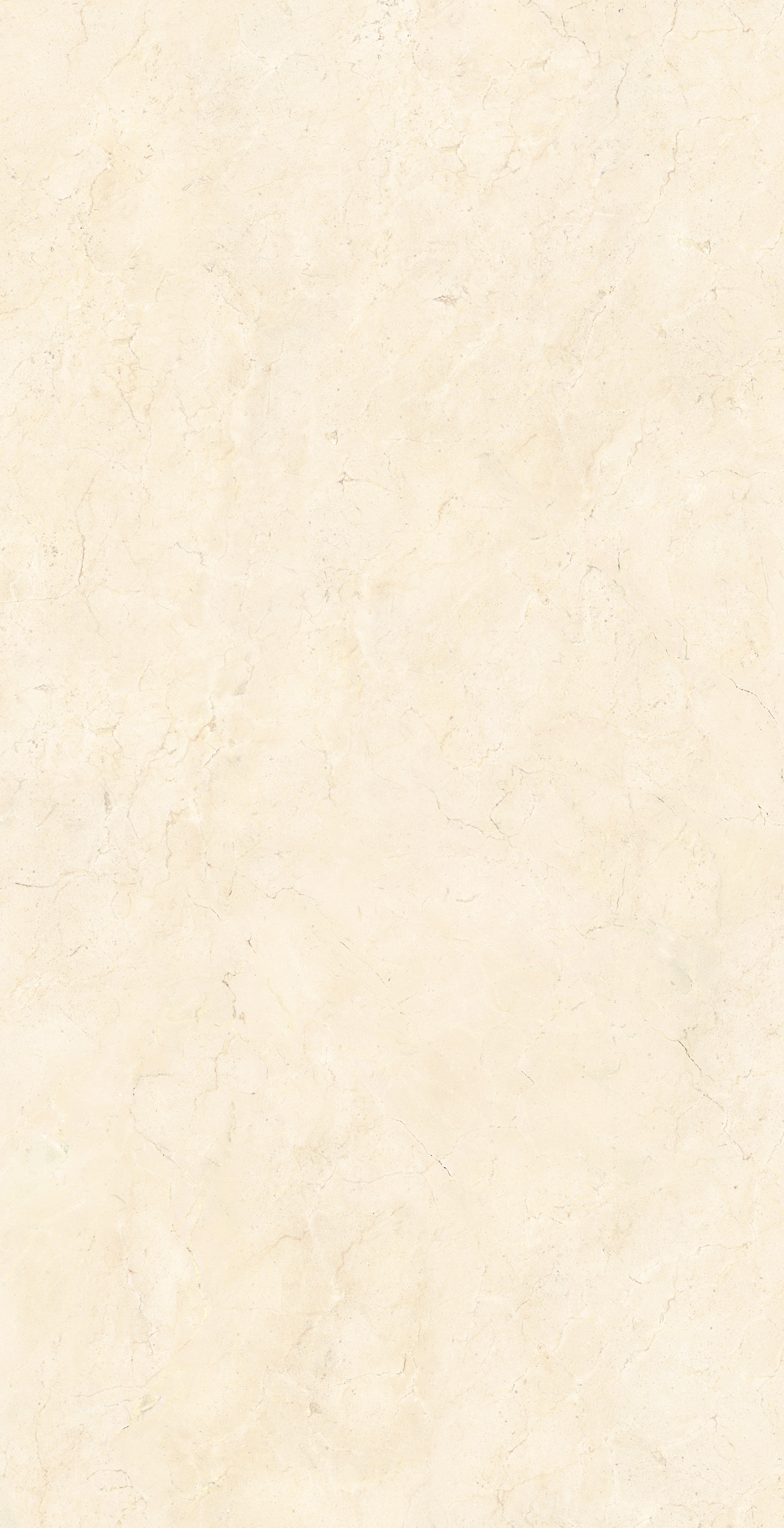 AVA Ceramica Crema Marfil Lappato 083019 gelaeppt 120x240cm rektifiziert 6mm