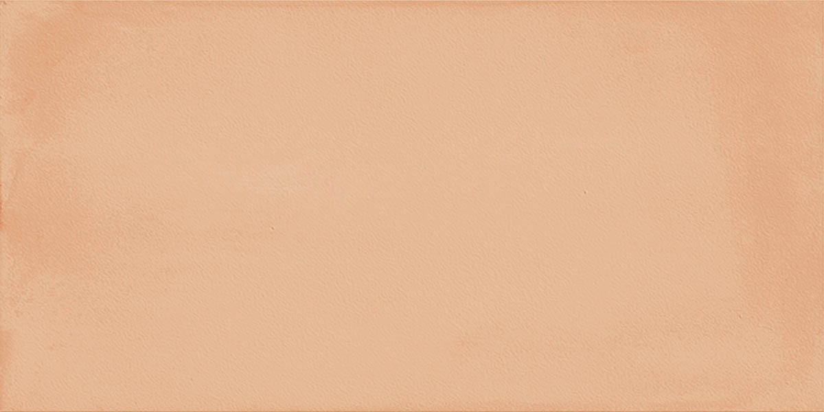 Imola Gesso Rosso Mattone Natural Strutturato Matt 175400 10x20cm 9,8mm - GESSO 1020MT