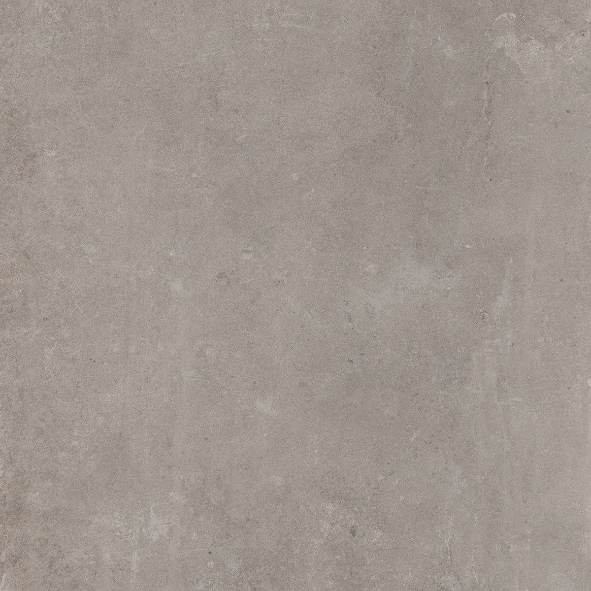 Rondine Concrete Taupe Naturale Taupe J87939 natur 60x60cm rektifiziert 9,5mm