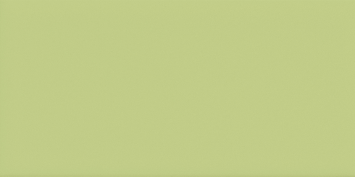 Imola Icona Verde Oasi Natural Flat Glossy 175366 10x20cm 9,8mm - ICONA 1020VO