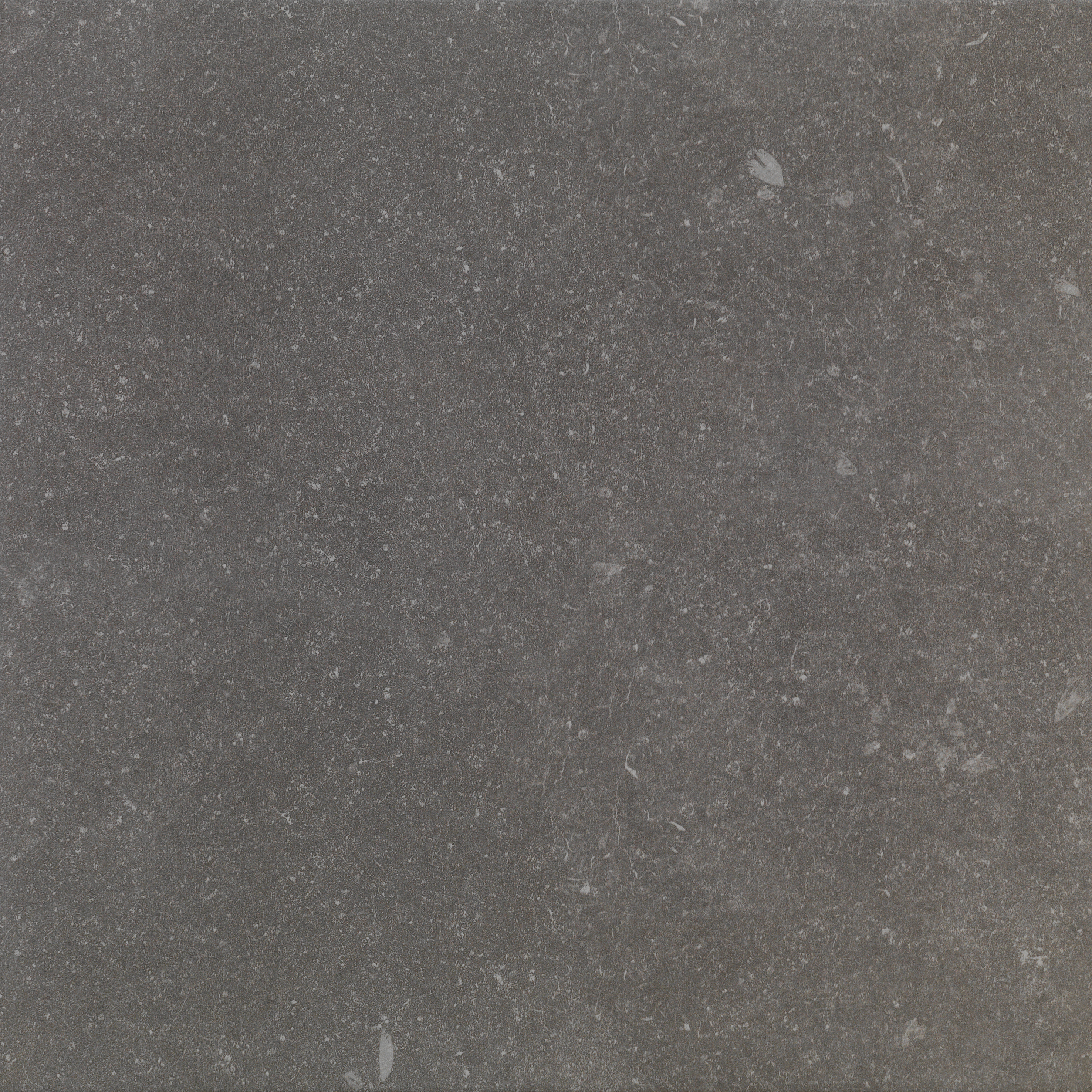 Bodenfliese Sintesi Geo Bleue Nero Naturale Nero PF00016330 natur 45x45cm 9mm