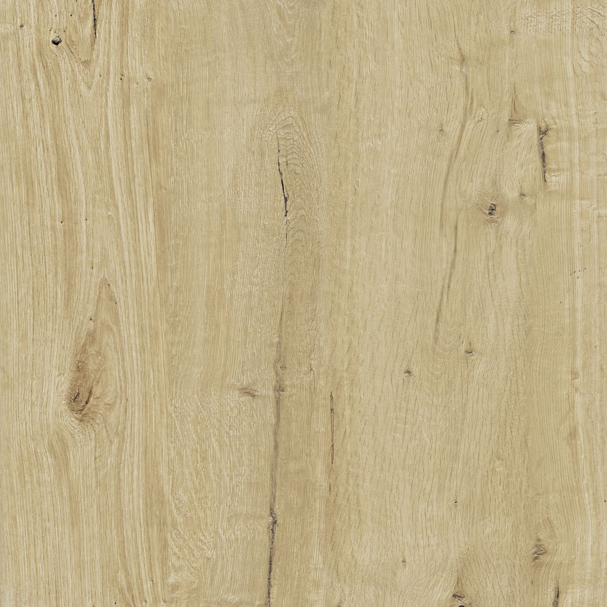 Ragno Woodtale Xt20 Miele Strutturato R4XG strutturato 60x60cm rectified 20mm