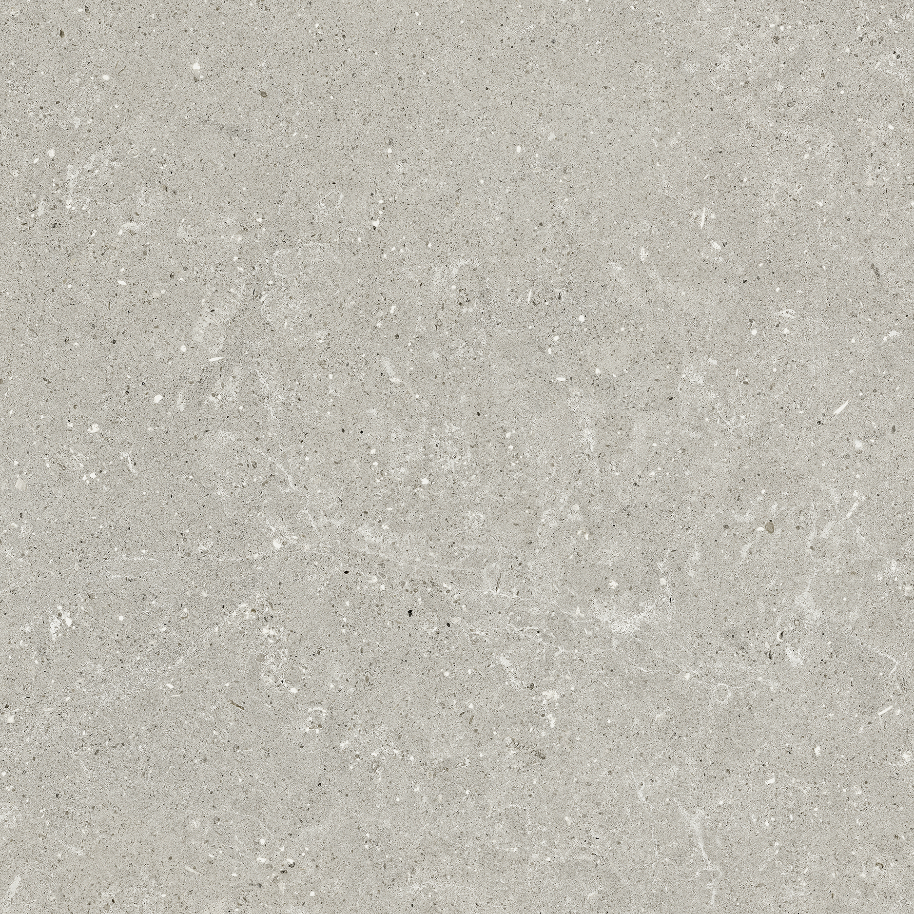 Del Conca Wild Grey Hwd Naturale G9WD05R 60x60cm rectified 8,5mm