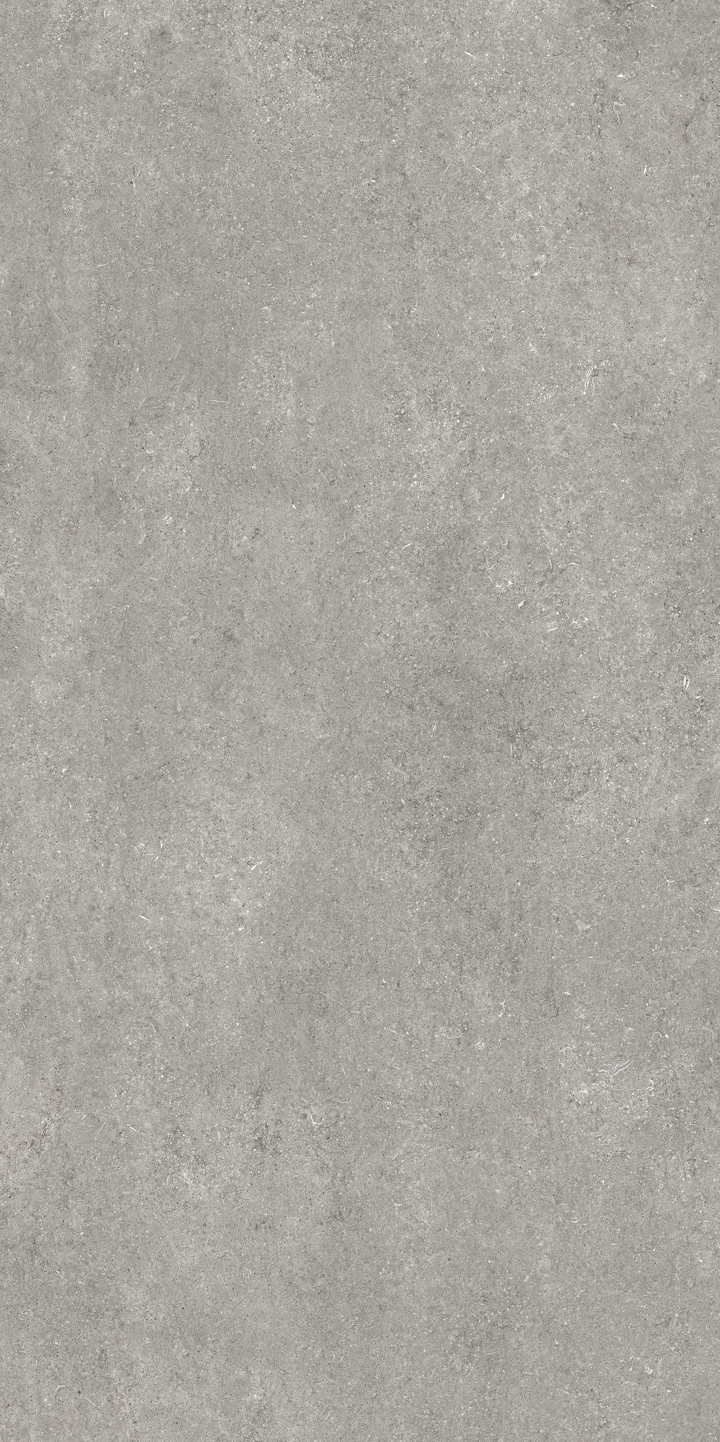 Bodenfliese,Wandfliese Florim Sensi By Thun Grey Fossil Matt – Naturale Grey Fossil 768581 matt natur 120x240cm rektifiziert 6mm