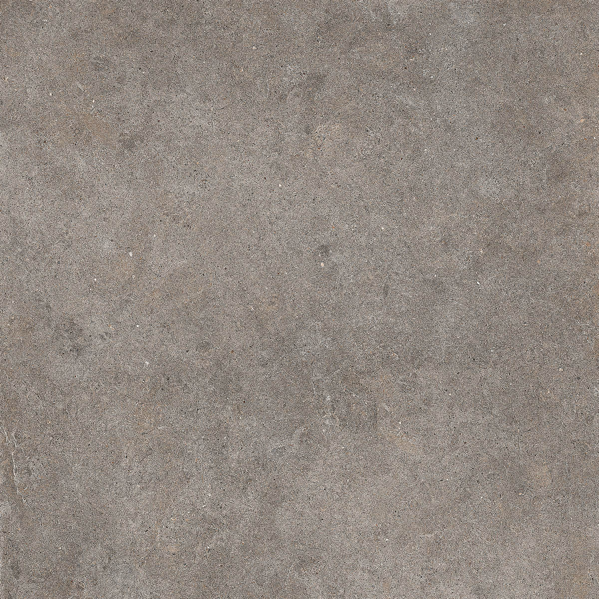 Imola Walk Grigio Scuro Natural Flat Matt 156062 30x60cm 9mm - WLKR 36DG